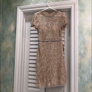 Rose Gold Adrianna Papell Holiday Dress NWT